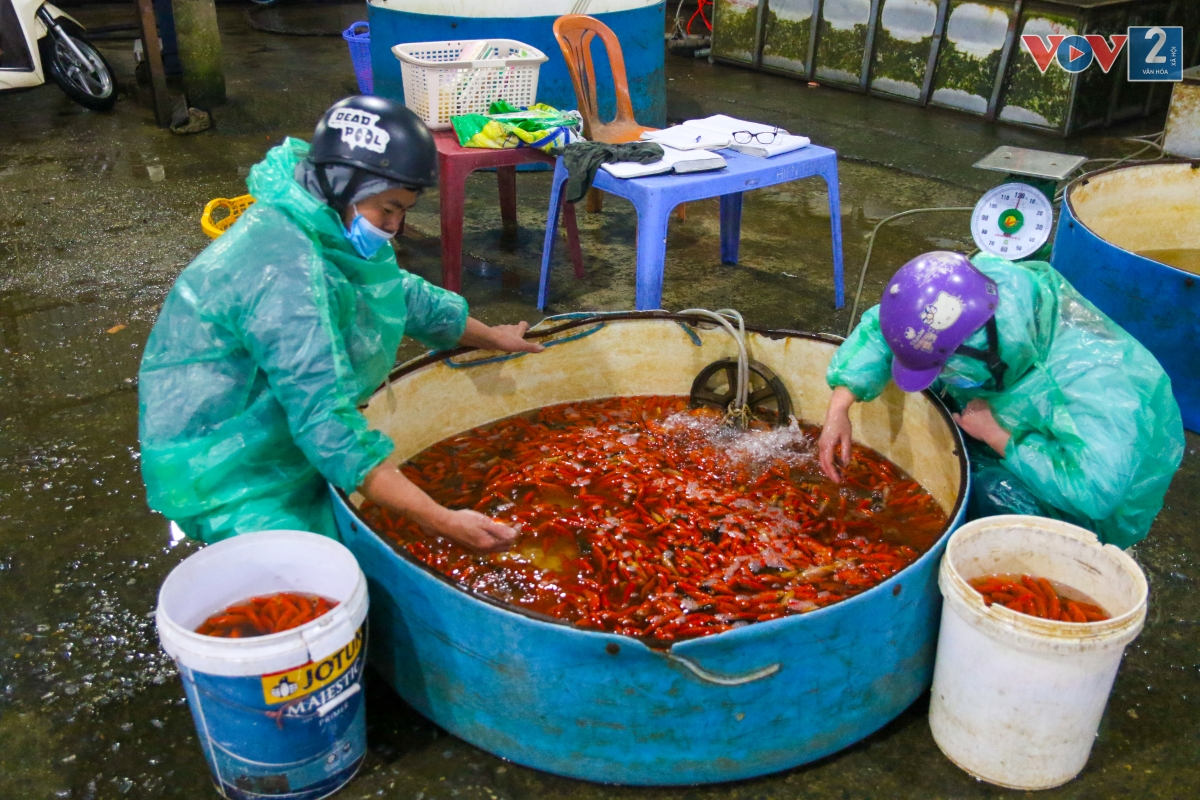 Giá bán tại chợ Yên Sở dao động từ 60.000 - 110.000 đồng/kg tùy chất lượng, kích cỡ.