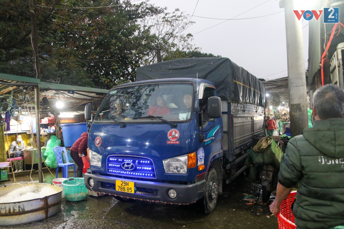 Tấp nập các xe chở cá chạy quanh chợ từ sáng sớm tinh mơ.