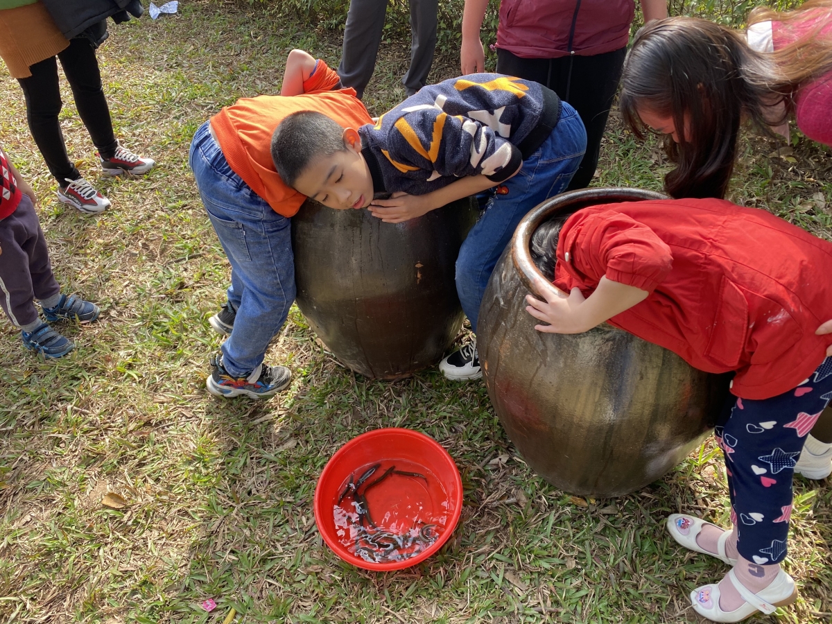 Bắt chạch trong chum