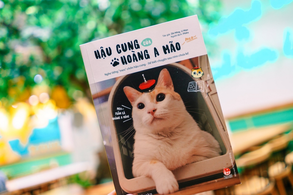 hau_cung_cua_hoang_a_mao.jpg