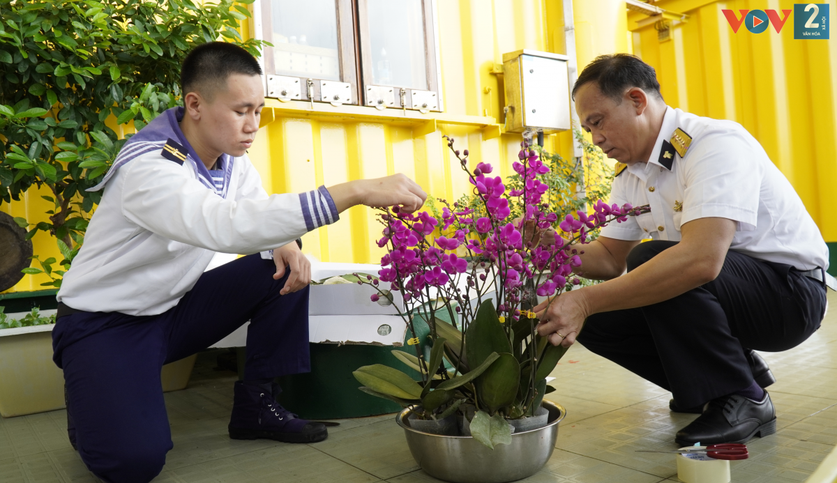 Tết năm nay của cán bộ, chiến sỹ nhà giàn DK1 còn có những chậu hoa hồ điệp đang bung nở của một doanh nghiệp ở Đà Lạt gửi ra tặng.