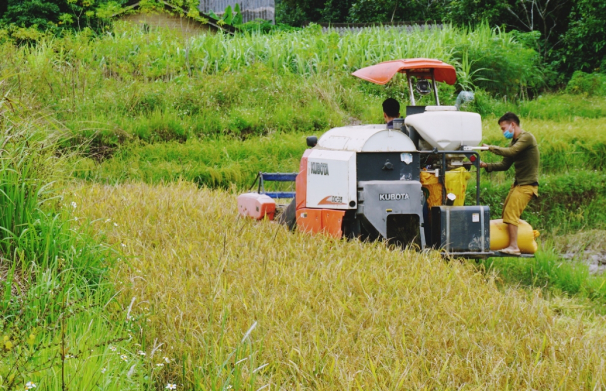 Người dân huyện Bình Liêu áp dụng khoa học kỹ thuật trong sản xuất, nâng cao hiệu quả phát triển kinh tế - Ảnh KT
