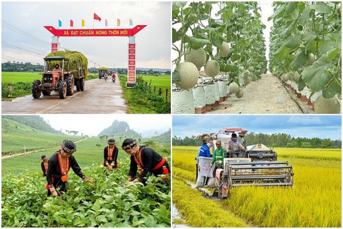 Chương trình mục tiêu quốc gia giảm nghèo bền vững giai đoạn 2021 - 2025 phấn đấu hạn chế tái nghèo và phát sinh hộ nghèo mới - Ảnh kt