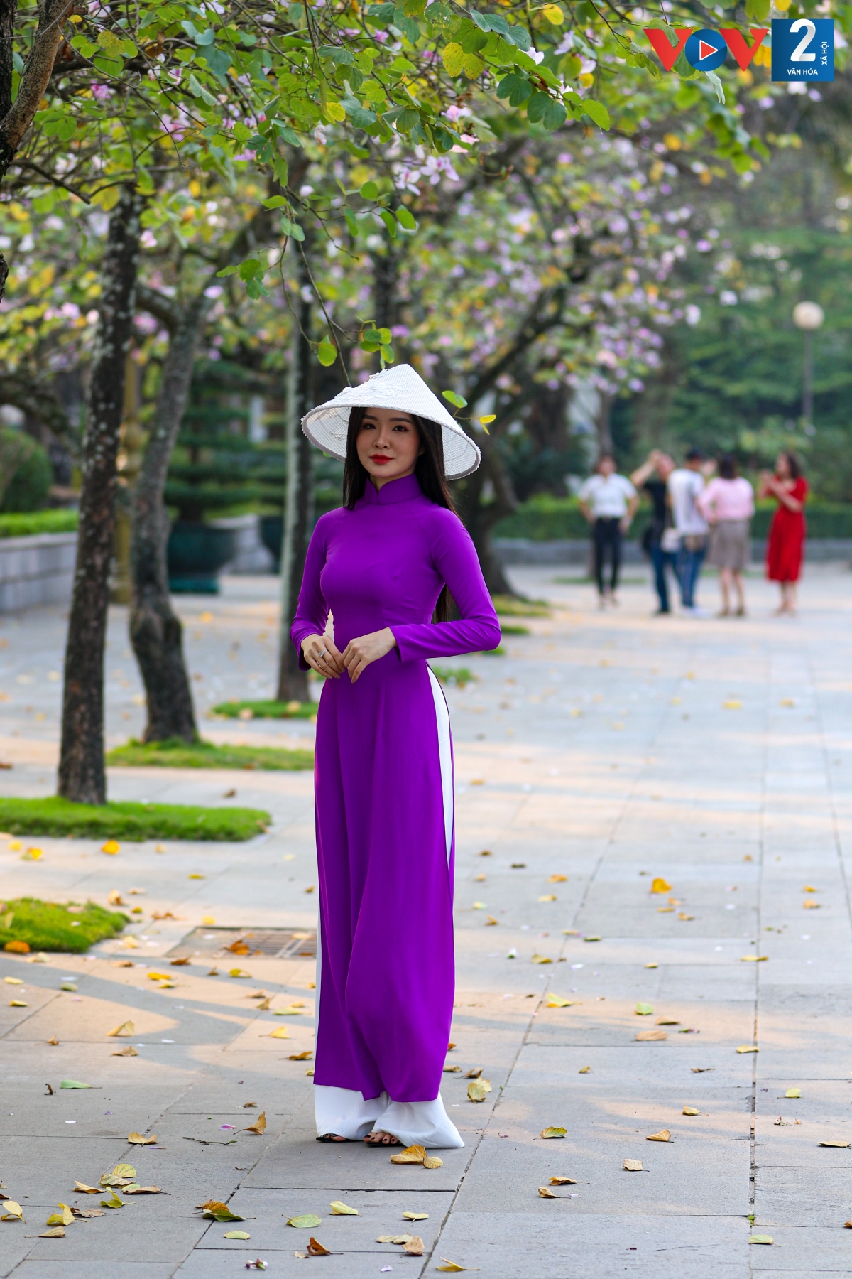 Tà áo dài truyền thống vẫn được nhiều chị em ưu tiên lựa chọn khi chụp ảnh cùng hoa ban.