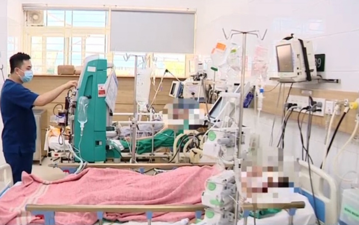 Rất khó để phân biệt giữa nấm độc với nấm có thể ăn được nên các bác sĩ khuyến cáo người dân tuyệt đối không ăn nấm lạ.