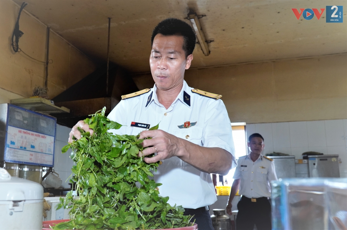 Giữa biển khơi sóng gió, trồng rau xanh không chỉ thiết thực nâng cao đời sống cán bộ, chiến sĩ nhà giàn, mà còn giúp các anh vơi bớt nỗi nhớ đất liền. Những mầm xanh mọc lên từ sóng biển, giúp các anh yêu đời hơn, khẳng định làm chủ cuộc sống ngay cả những nơi khó khăn gian vất vả nhất.
 
