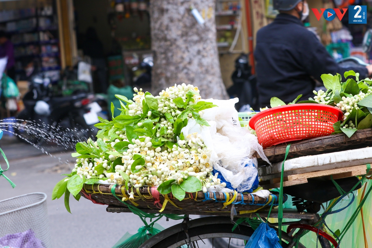 Những chiếc xe chở đầy hoa bưởi chầm chậm đi qua các ngõ phố của Thủ đô.