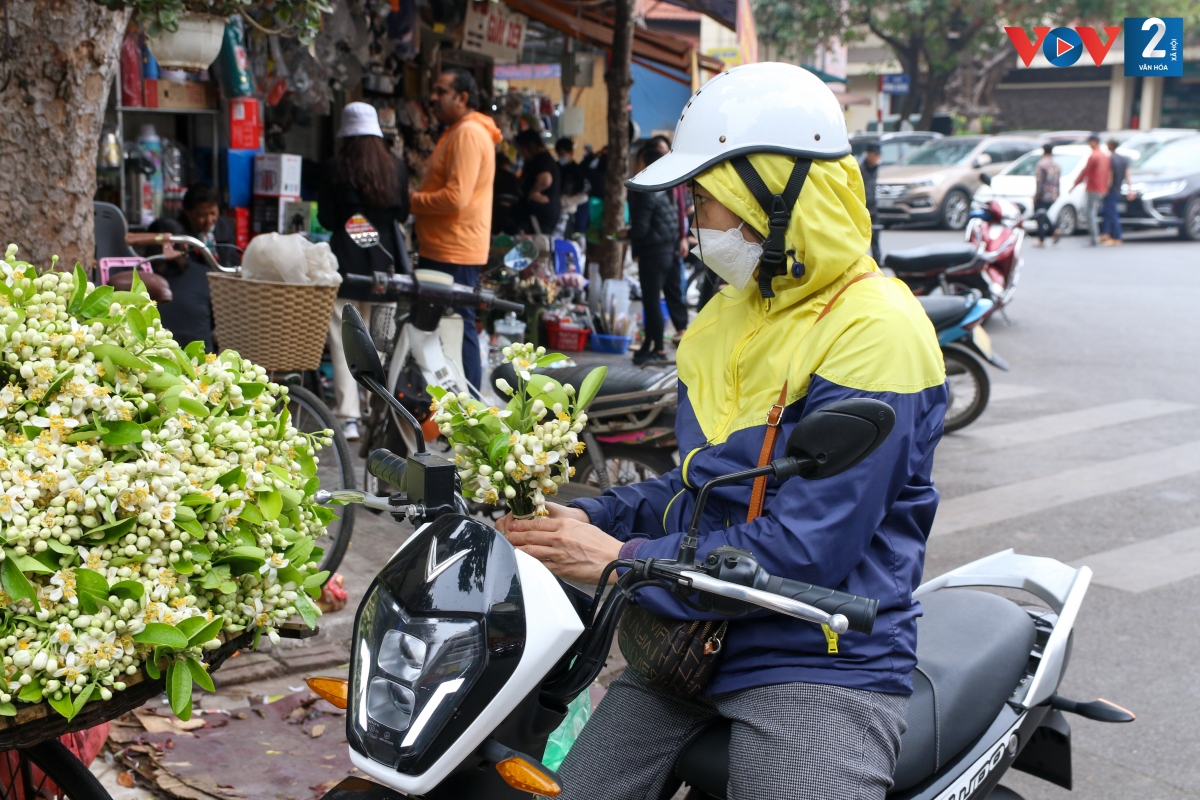 Theo khảo sát, những chùm hoa đủ lá, cành đang được bán với giá khoảng 300.000 - 400.000 đồng/kg tùy chất lượng. Những cánh hoa rời thì giá thành rẻ hơn, dao động từ 150.000 - 200.000 đồng/kg.