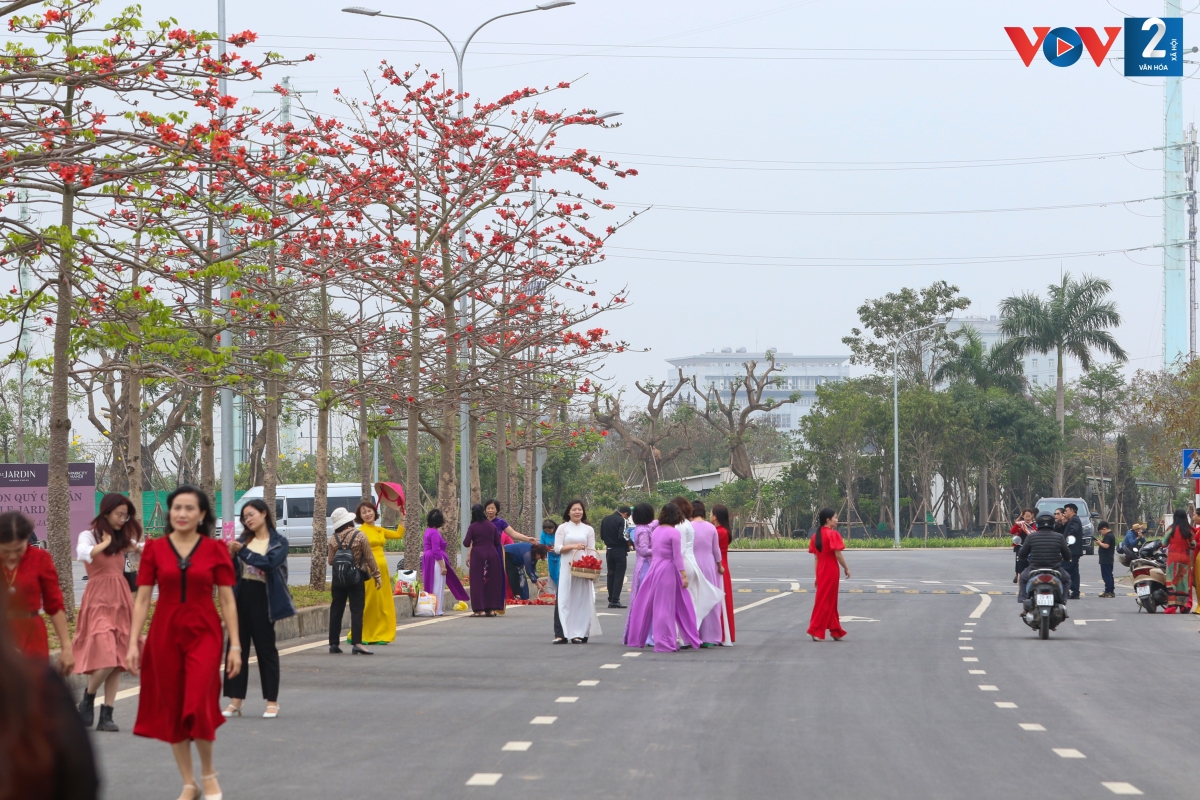 Khu đô thị ParkCity Hanoi (phường La Khê, quận Hà Đông) những ngày này rợp sắc đỏ của hoa gạo. Những cây gạo mới trồng còn non tuổi, cao khoảng 4-5 m nên chưa có tán lá sum suê như ở các khu vực ven đô, nhưng hoa vẫn nở đỏ rực, thắp lửa trên những cành cây.