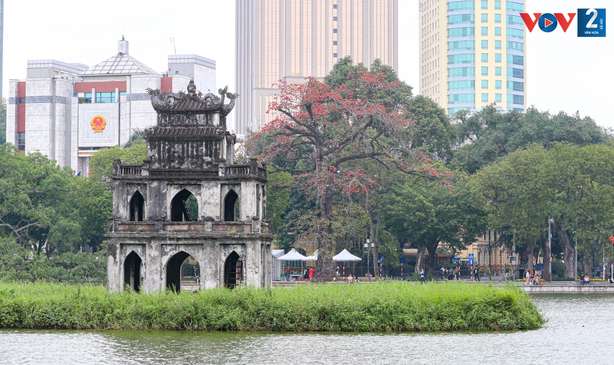 Tháp rùa cổ kính trong màu đỏ rực của hoa gạo.