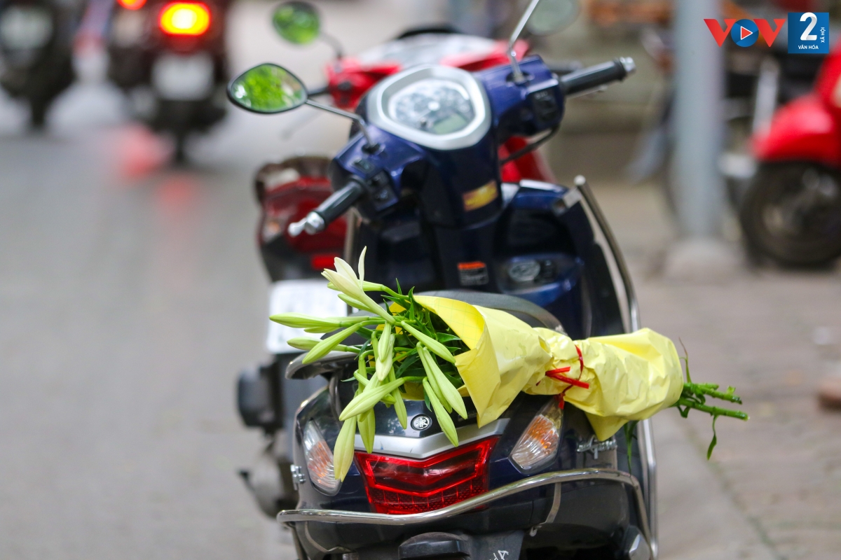 Những bó loa kèn được gói ghém thật kỹ, khéo léo chằng phía sau xe…., để theo các bà, các cô về trưng trong nhà.