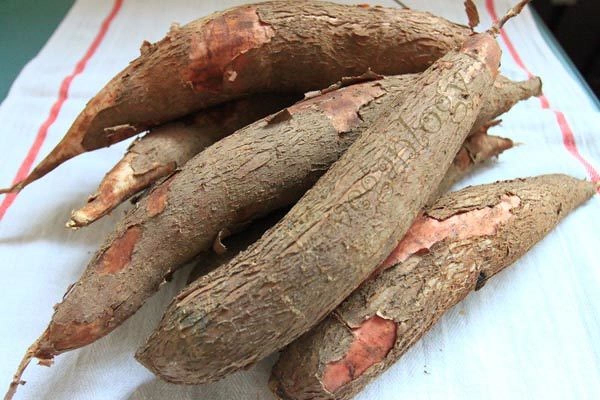 Việc sơ chế sắn không đúng cách có thể để dư thừa lượng xyanua, gây nhiễm độc xyanua