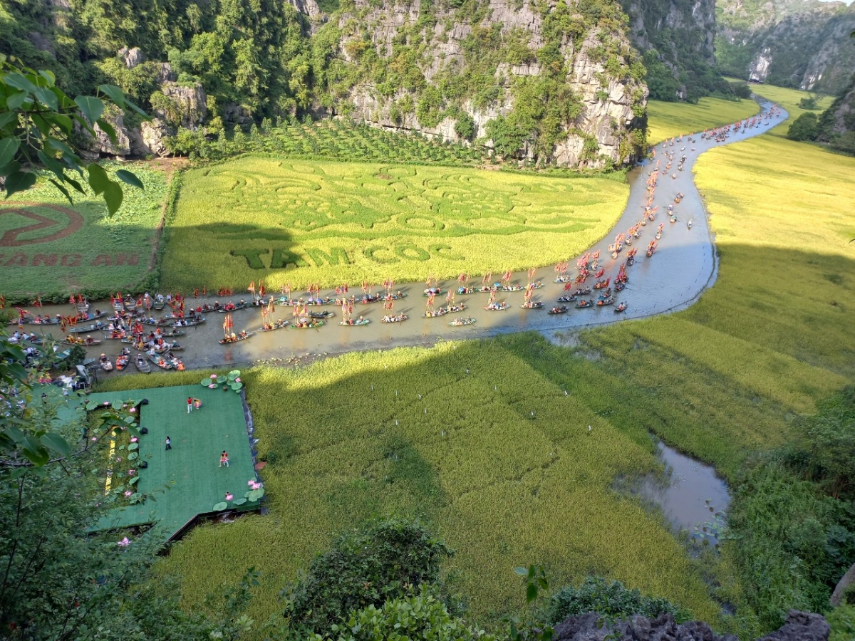 Toàn cảnh bức tranh "Lý ngư vọng nguyệt" trên diện tích 9500m2. Ảnh: Sở Du lịch Ninh Bình