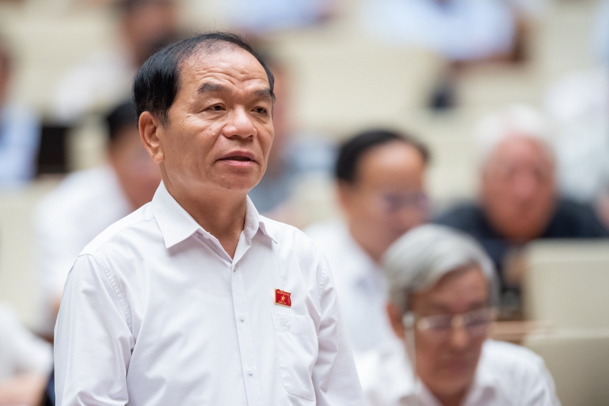 Đại biểu Lê Thanh Vân, Đoàn Đại biểu Quốc hội tỉnh Cà Mau