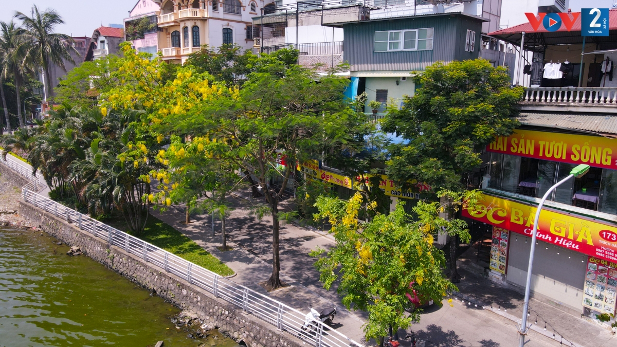 Muồng hoàng yến (tên khoa học là Cassia fistula) thường nở rộ khi mùa hạ đang đến. Không gian mang sắc vàng bất tận, rực rỡ khiến ai cũng phải ngắm nhìn.