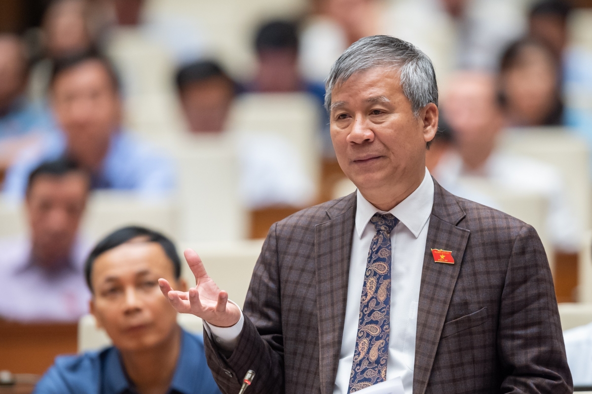 Giáo sư Nguyễn Anh Trí - Đại biểu Quốc hội TP Hà Nội