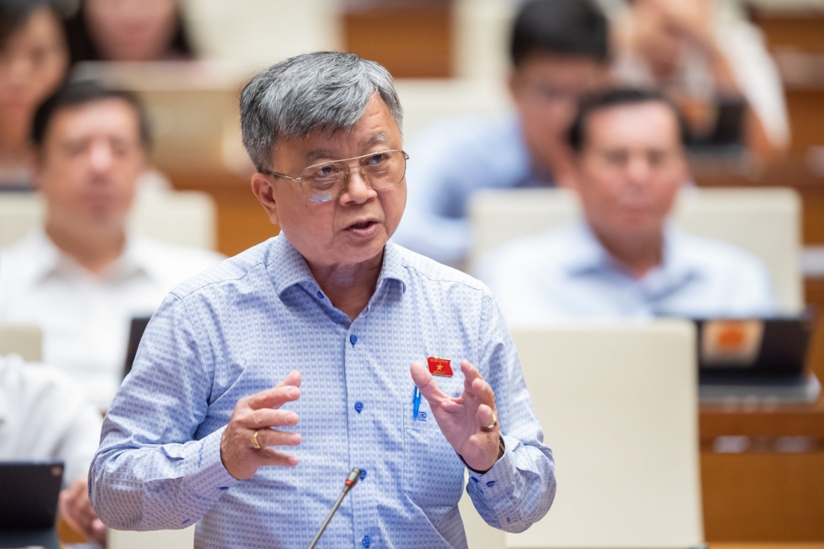 Luật sư Trương Trọng Nghĩa, Đoàn đại biểu Quốc hội TP.Hồ Chí Minh