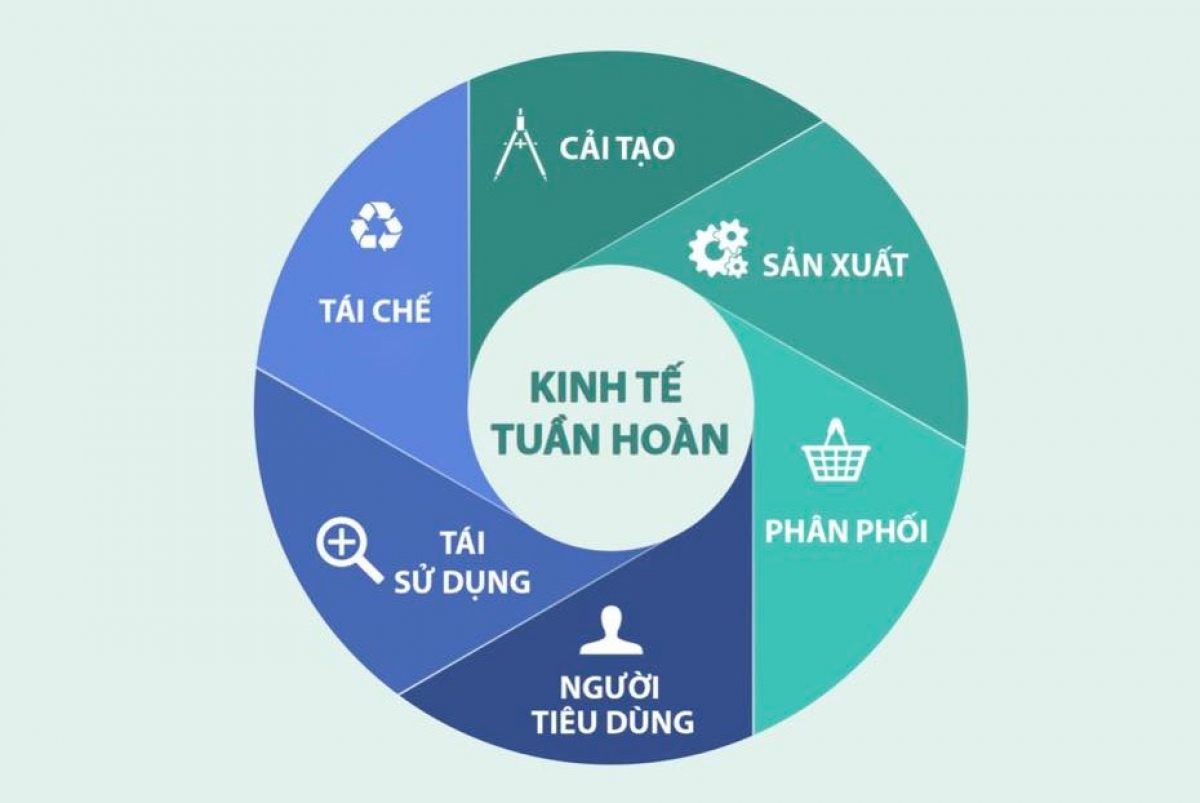 Vòng tuần hoàn của kinh tế xanh