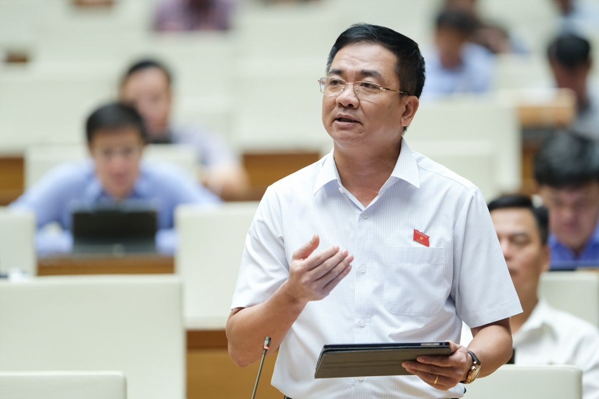 Đại biểu Nguyễn Minh Đức, Đoàn ĐBQH thành phố Hồ Chí Minh