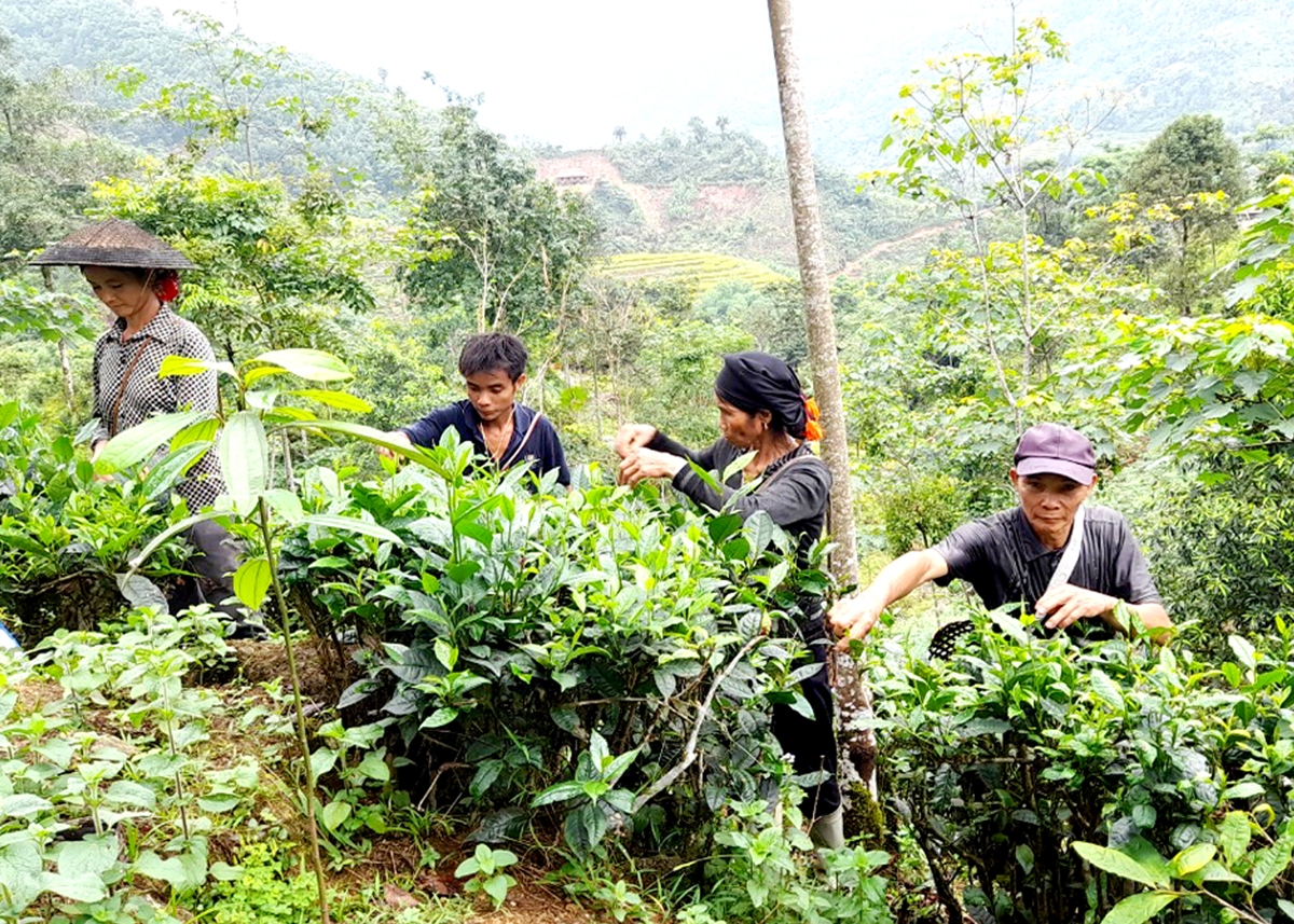 Ông Hoàng Xuân Thương (ngoài cùng bên phải)
tiêu biểu trong sản xuất, kinh doanh giỏi của xã Nà Chì.