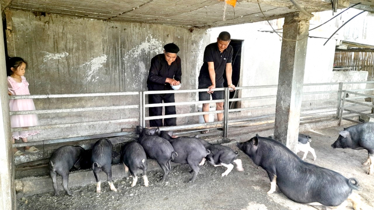 Ông Vương Văn Phảng (trái) điền hình sản xuất, kinh doanh giỏi của xã Bản Díu.