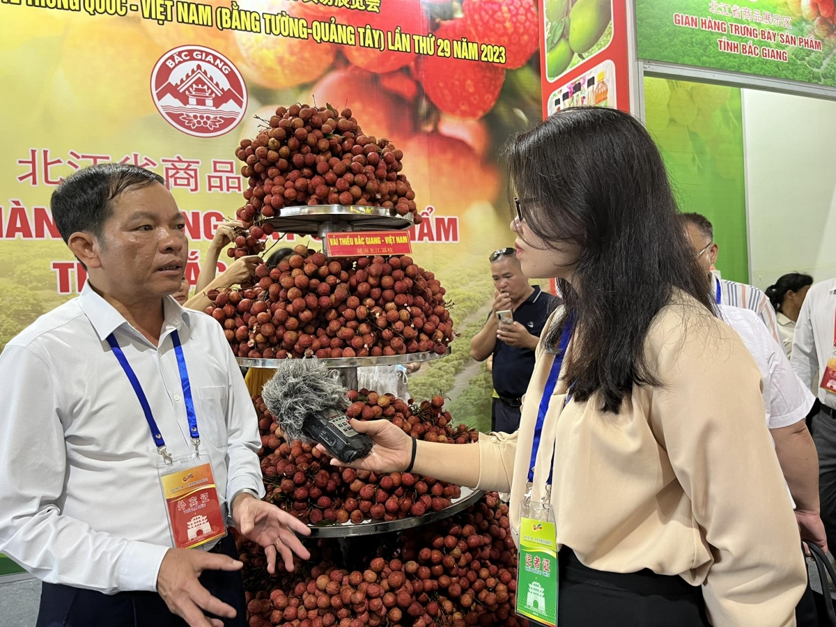 Ông Ngụy Đình Nghĩa – Giám đốc Trung tâm Khuyến công và xúc tiến thương mại tỉnh Bắc Giang - trả lời phỏng vấn phóng viên VOV2 tại Trung tâm triển lãm trái cây thành phố Bằng Tường (tỉnh Quảng Tây, Trung Quốc)