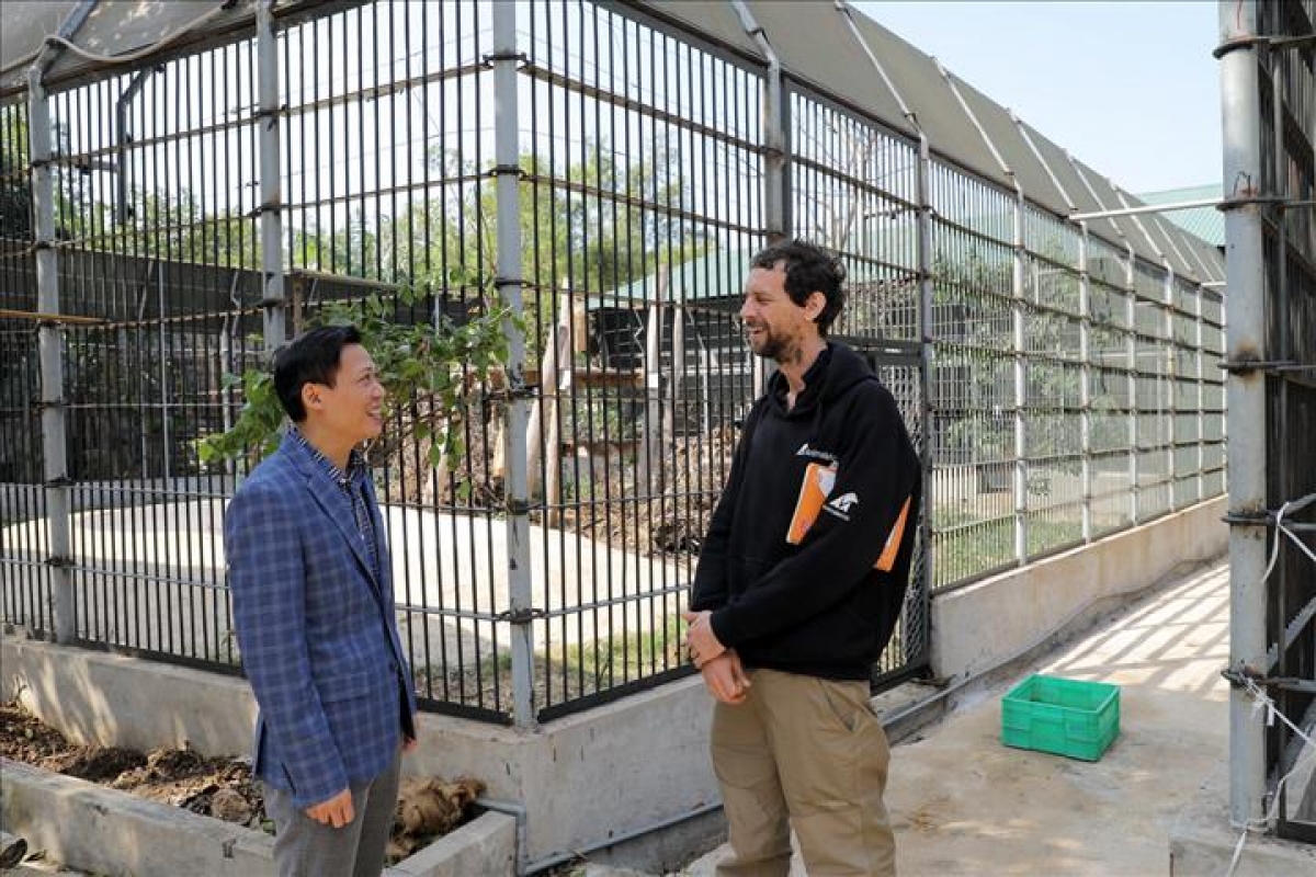 “Harry là một phần rất quan trọng của Trung tâm cứu hộ động vật hoang dã Hà Nội. Anh ấy đã đóng góp rất nhiều, đặc biệt là vấn đề phúc lợi, thiết kế chuồng trại và giúp chúng tôi đào tạo nhân viên. Khác nhau về ngôn ngữ, về quan niệm giữa người nước ngoài và người Việt Nam nhưng chúng tôi làm việc rất ăn ý vì có mục tiêu chung là lấy động vật hoang dã làm trung tâm” - Ông Lương Xuân Hồng, Giám đốc Trung tâm cứu hộ động vật hoang dã Hà Nội