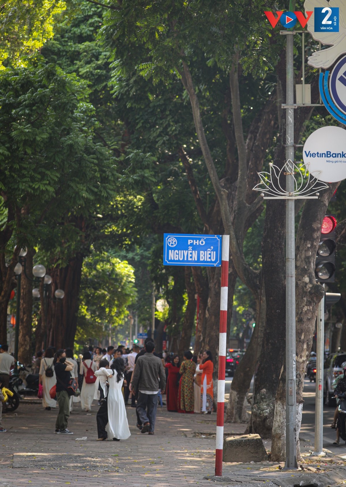 Hàng cây xà cừ cổ thụ cùng 3 hàng cây sấu già trở thành địa điểm được yêu thích của giới trẻ.