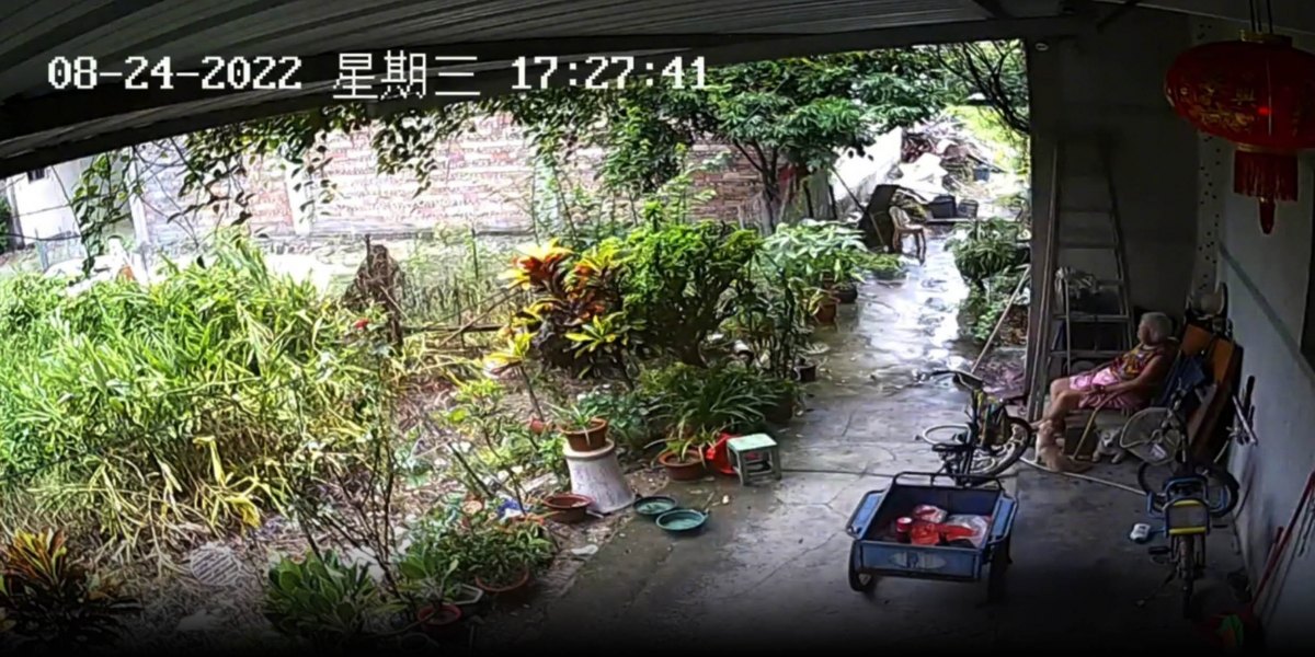 Hình ảnh từ camera mà cô cháu gái He Ranran lắp để theo dõi cuộc sống hàng ngày của bà mình