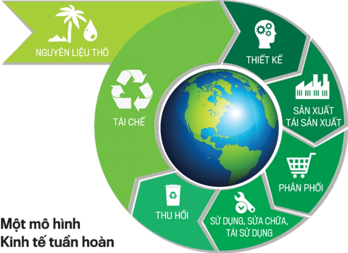 Vòng tuần hoàn khi phát triển theo mô hình kinh tế tuần hoàn