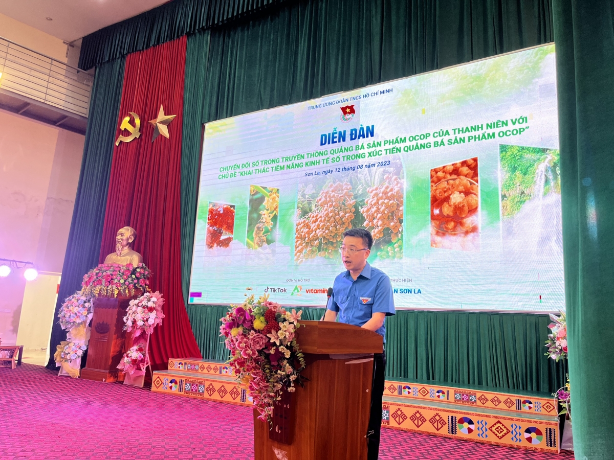 Đồng chí Nguyễn Tường Lâm, BT BCH TW Đoàn, PCN Thường trực UB Quốc gia về Thanh niên Việt Nam. Ảnh: BTC