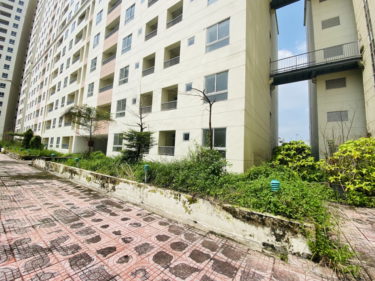 Nhà tái định cư bị bỏ hoang (Ảnh KT)