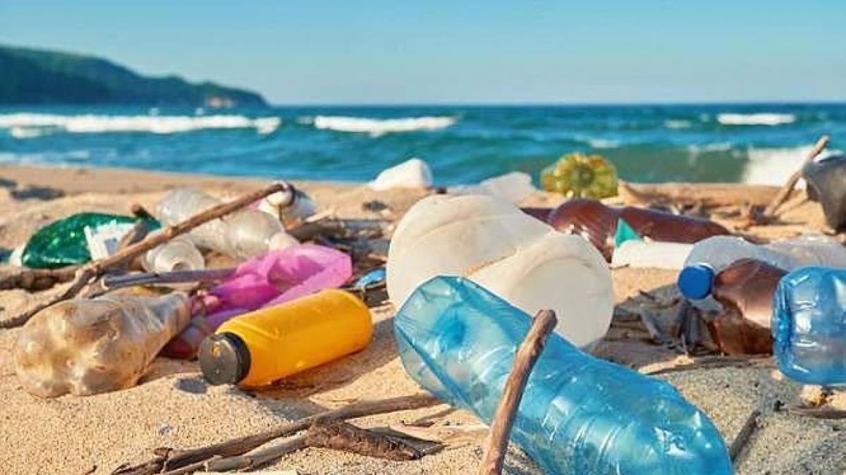             Rác thải nhựa xả tràn lan gây ô nhiễm môi trường, ảnh hưởng tới sức khỏe con người và các loài sinh vật