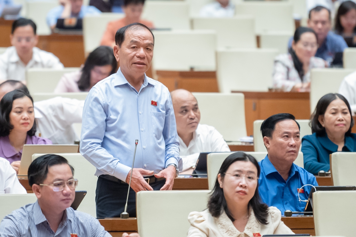 Đại biểu Quốc hội Lê Thanh Vân, đoàn Cà Mau