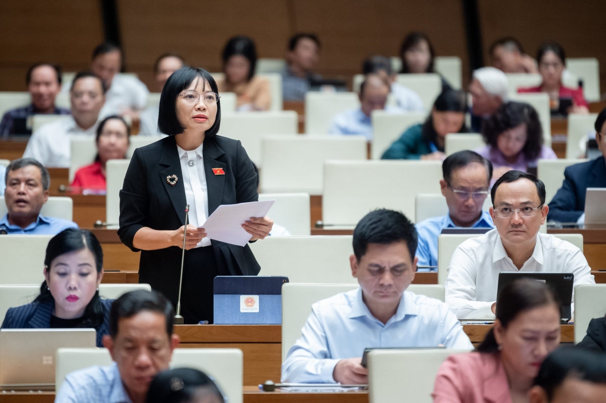 Đại biểu Nguyễn Thị Việt Nga - Đoàn ĐBQH tỉnh Hải Dương
