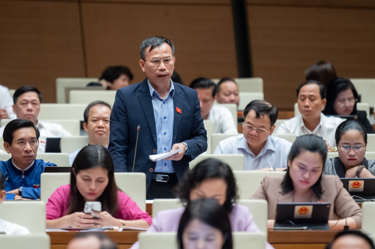 Đại biểu Đồng Ngọc Ba (đoàn Bình Định)