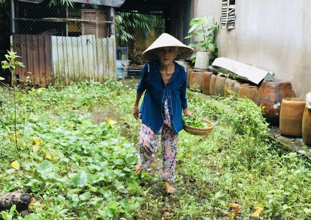 Bà Hai hái rau, bắt ốc kiếm tiền nuôi mẹ già