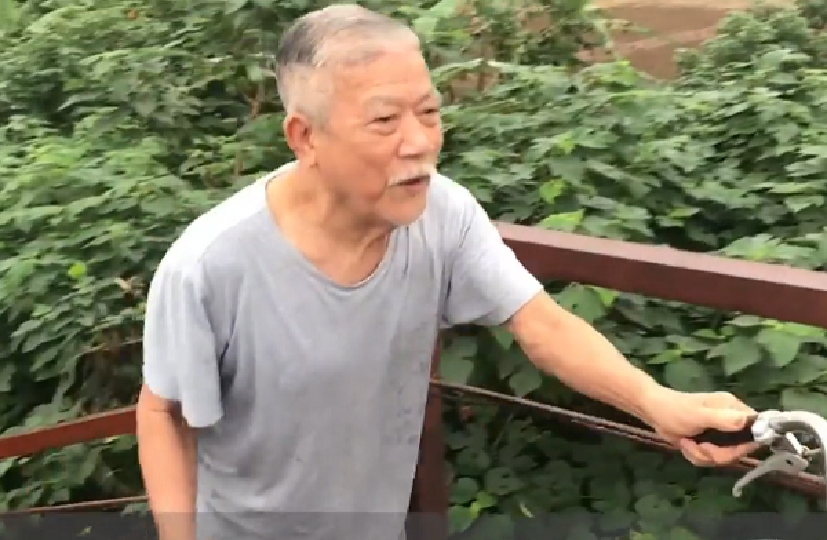 Nhờ kiên trì luyện tập và yêu thích bơi, cụ Diễm nhìn khá trẻ so với tuổi 91