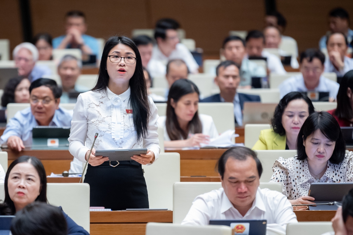 Đại biểu Đinh Thị Ngọc Dung (Đoàn Hải Dương)