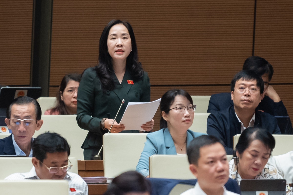 Đại biểu Đoàn Thị Thanh Mai, Đoàn ĐBQH tỉnh Hưng Yên