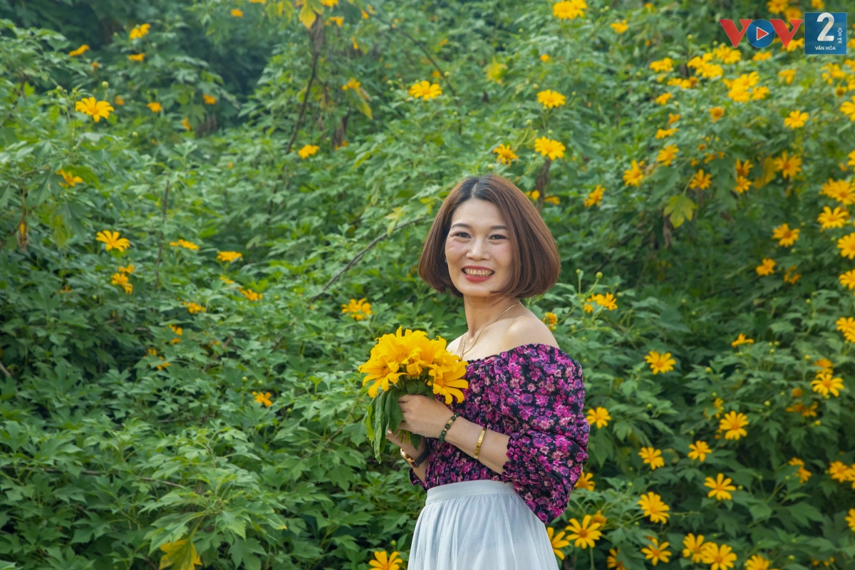 Thời điểm này, tiết trời Hà Nội mát mẻ, hơi lạnh, phù hợp cho mọi người tới vườn hoa dã quỳ để tham quan, chiêm ngưỡng vẻ đẹp của loài hoa như một "biểu tượng của Đà Lạt" giữa lòng Thủ đô.