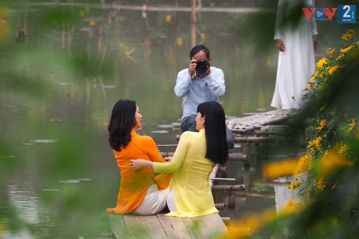Nhiều nhiếp ảnh gia tới vườn hoa dã quỳ để ghi lại những hình ảnh đẹp nhất, chỉ có một mùa trong năm.
