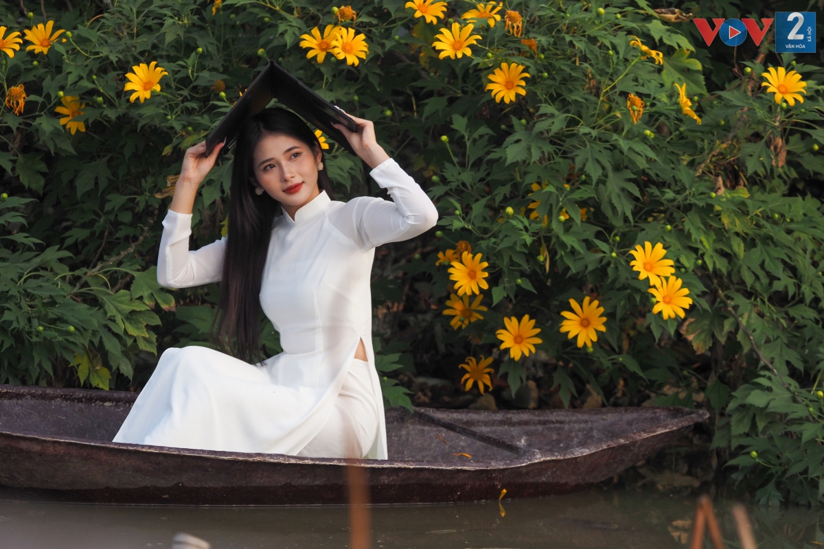 Màu vàng của hoa dã quỳ mang vẻ đẹp dân dã, dễ khiến người ta phải đắm say.