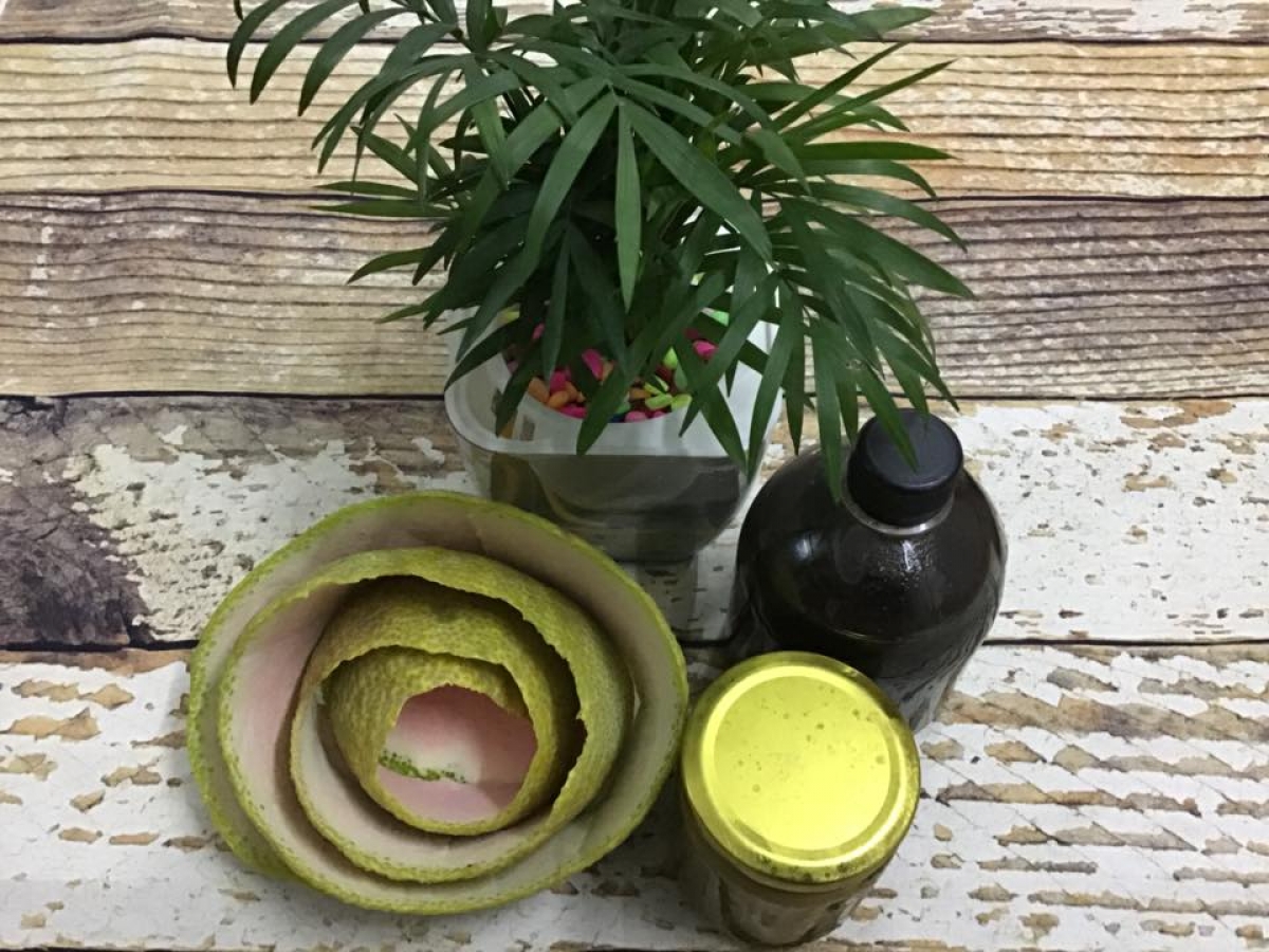 Dầu gội chiết xuất từ vỏ bưởi của dược sỹ Thùy Dương.