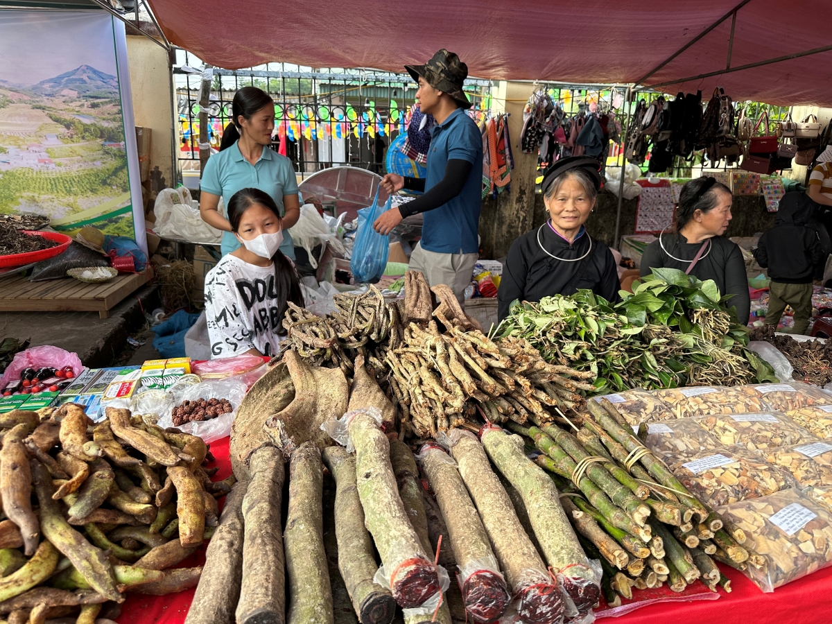 Những bài thuốc nam gia truyền của người Tày nói riêng và các dân tộc thiểu số nói chung là một phần không thể thiếu trong đời sống của bà con vùng cao