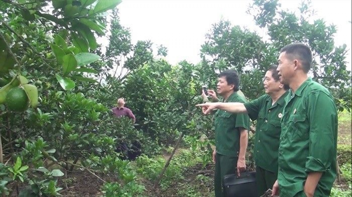 Thăm mô hình và chia sẻ kinh nghiệm