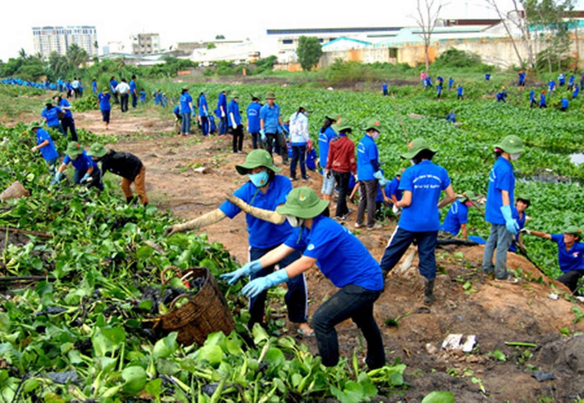 Thanh niên chung tay bảo vệ môi trường