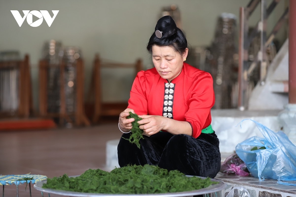 Rêu sạch nhặt từ suối là nguyên liệu để chị em làm món "rêu pho" đặc sản đón khách du lịch