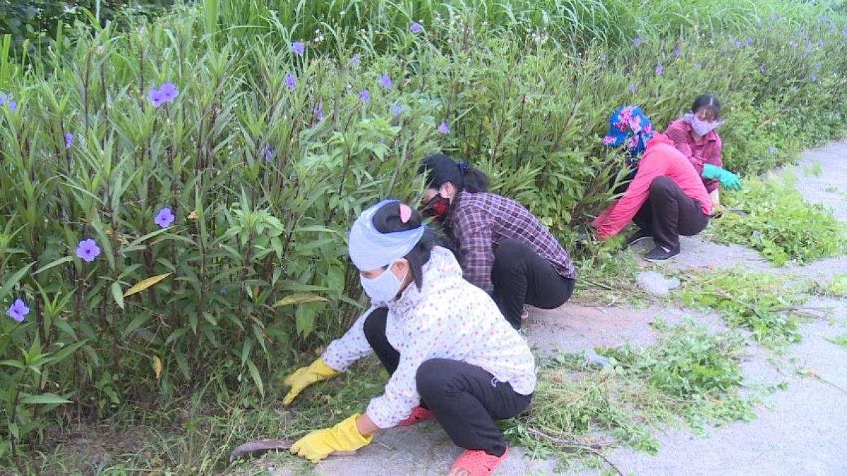 Nhiều tuyến đường, con ngõ ở huyện Phúc Thọ trở nên xanh và đẹp hơn khi được trồng bổ sung cây xanh và thường xuyên được chăm sóc, cắt tỉa