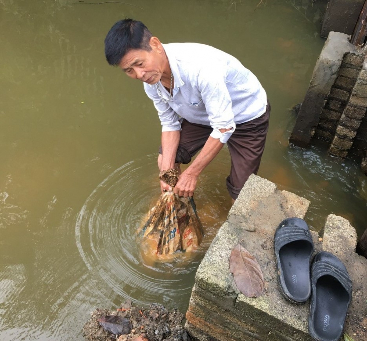 Ngoài trồng hoa, ông Hoàng Văn Toàn còn tích cực tham gia vệ sinh môi trường